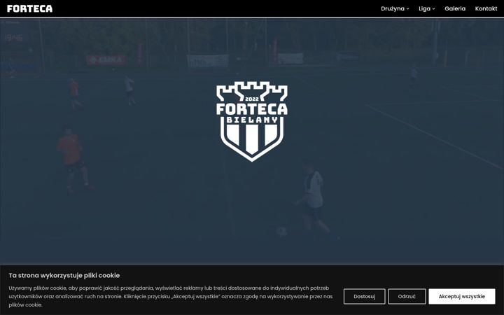 Screenshot of forteca.online