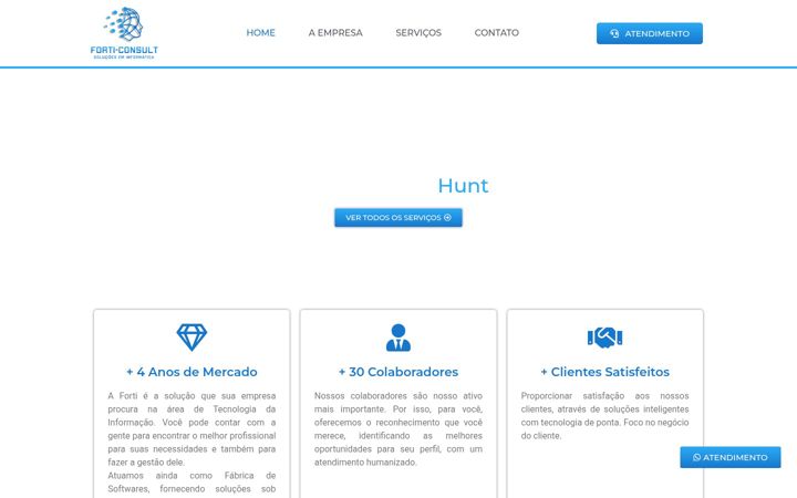 Екранна снимка на forticonsult.com.br
