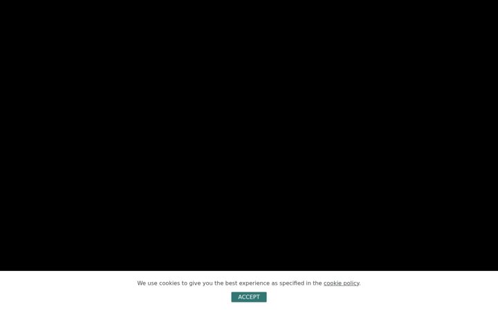 Screenshot of fortitude17.com