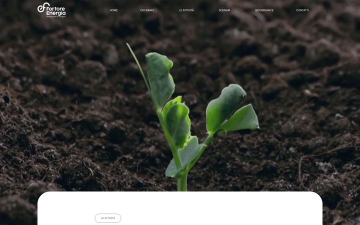 Screenshot of fortoreenergiaspa.com