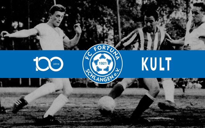 Kuvakaappaus sivustosta fortuna-schlangen.de