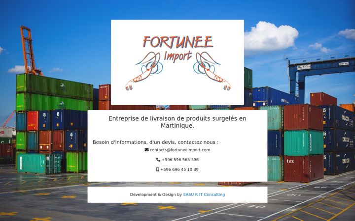 Screenshot of fortuneeimport.com