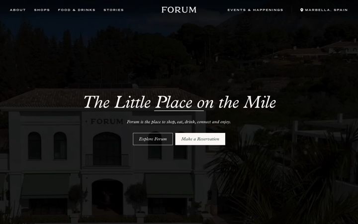 Snímek obrazovky forum.es