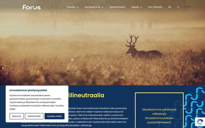 Kuvakaappaus sivustosta forus.fi
