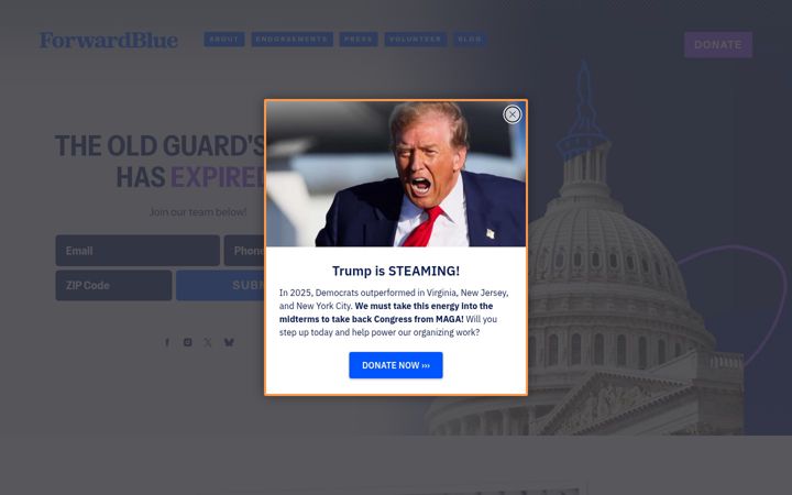 Screenshot of forwardblue.co