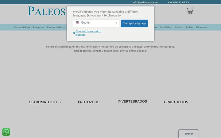 Screenshot of fosilpaleos.com