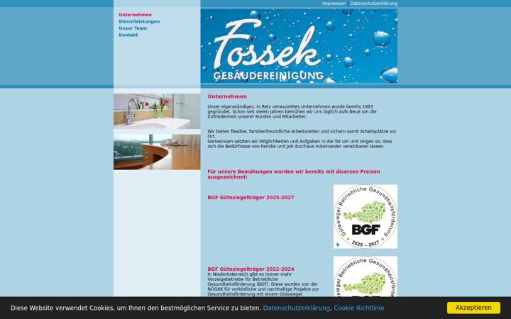 Screenshot of fossek-reinigung.at