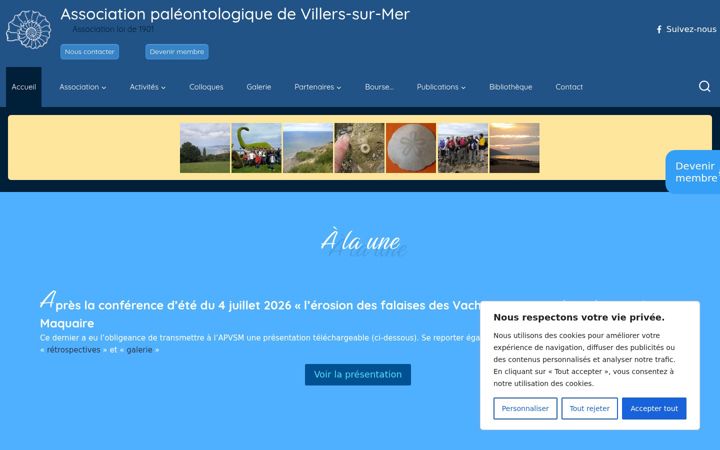 Screenshot of fossiles-villers.com