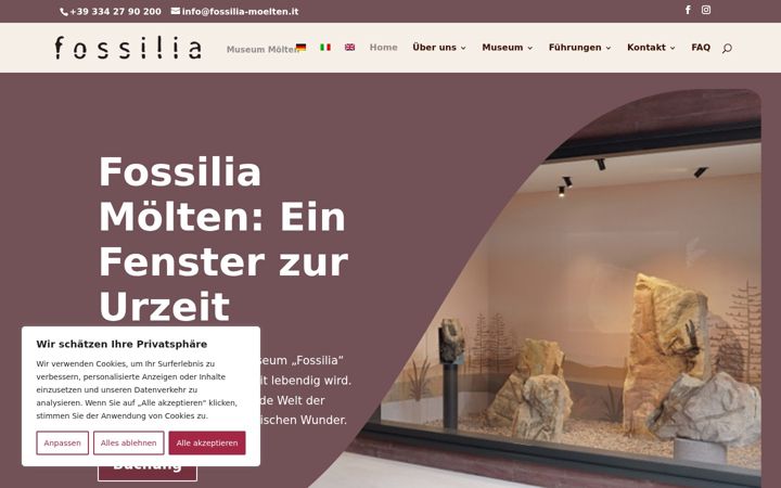 Screenshot of fossilia-moelten.it