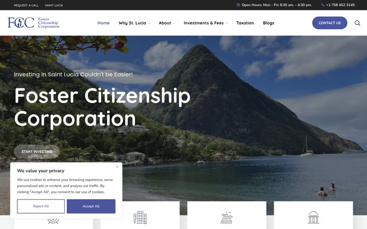 Screenshot of fostercitizenship.com