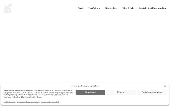 Screenshot of foto-bs.de