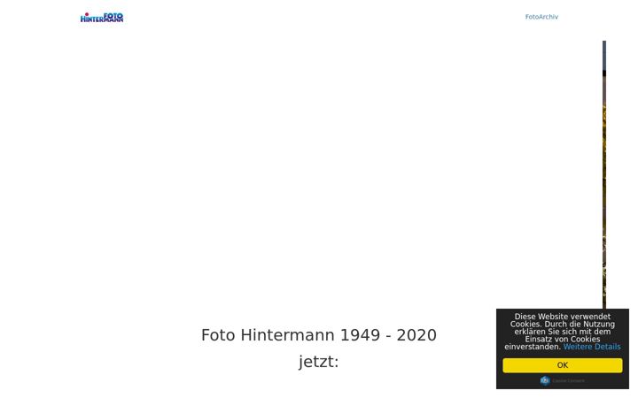 Screenshot of foto-hintermann.de