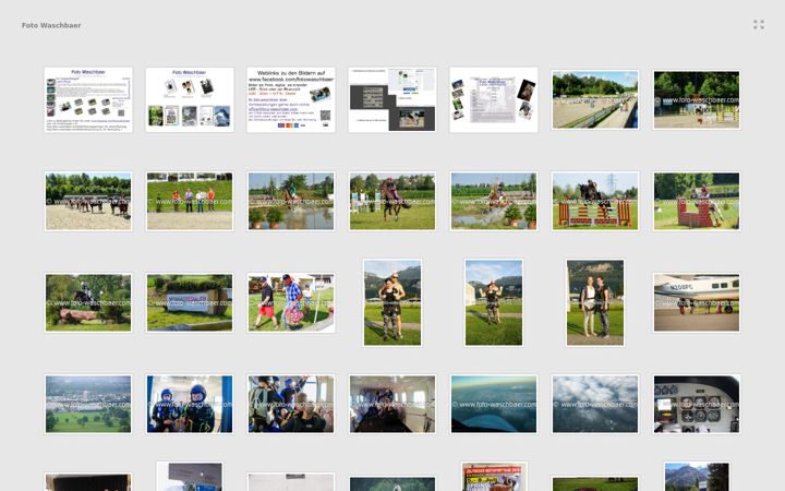 Screenshot of foto-waschbaer.com