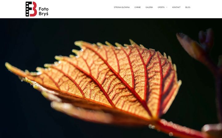 Screenshot of fotobrys.pl