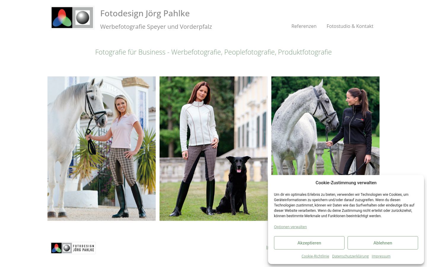 Screenshot van de toestemmingsbanner zoals getoond vóór enige interactie