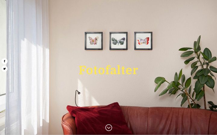Screenshot of fotofalter.com