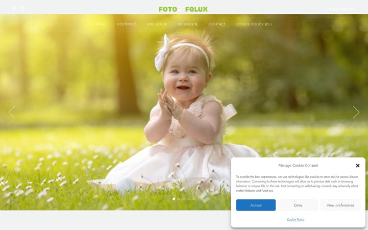 Screenshot of fotofelux.be