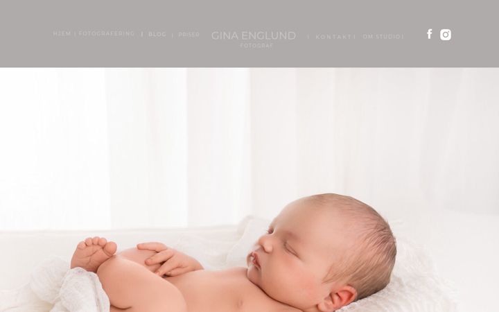 Screenshot of fotografginaenglund.com