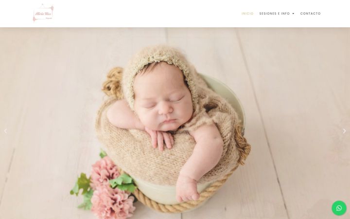 Screenshot of fotografiaaliciarios.com