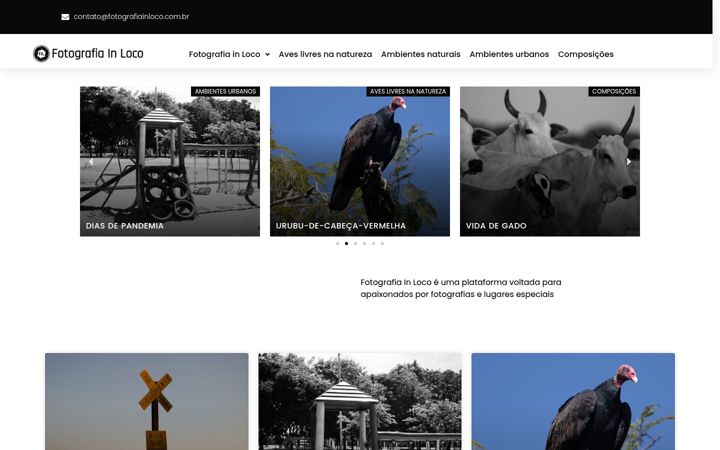 Skärmbild av fotografiainloco.com.br