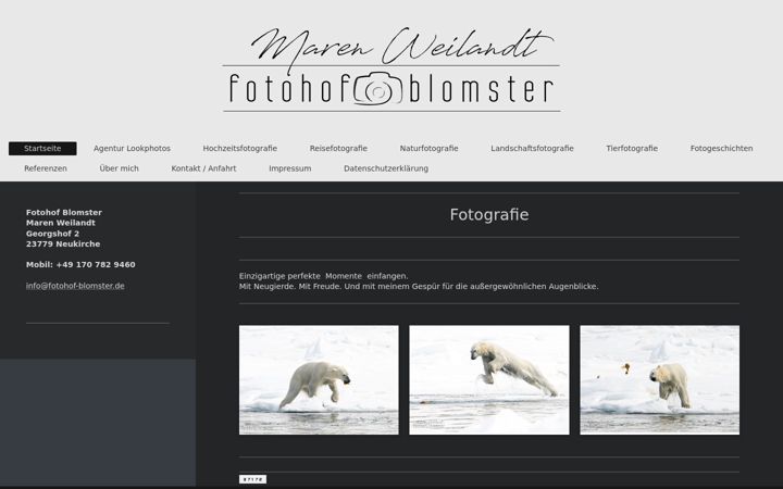 Screenshot of fotohof-blomster.de