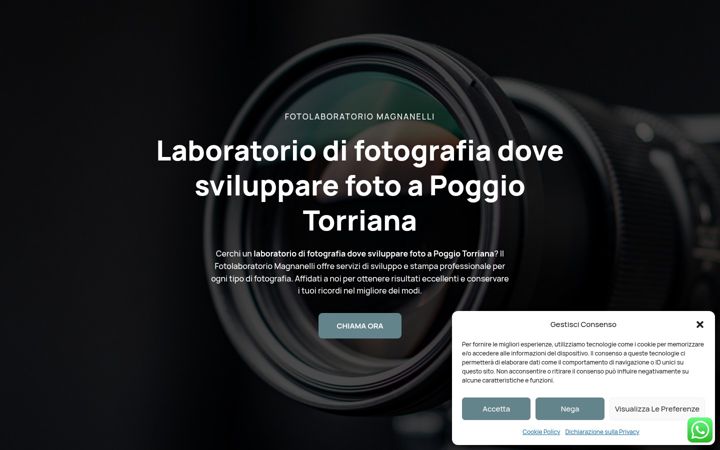 Screenshot of fotolaboratoriomagnanelli.it
