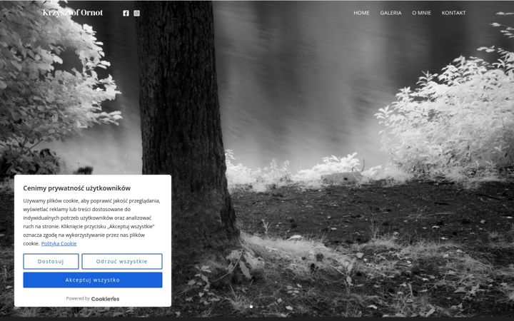 Screenshot of fotoornot.pl