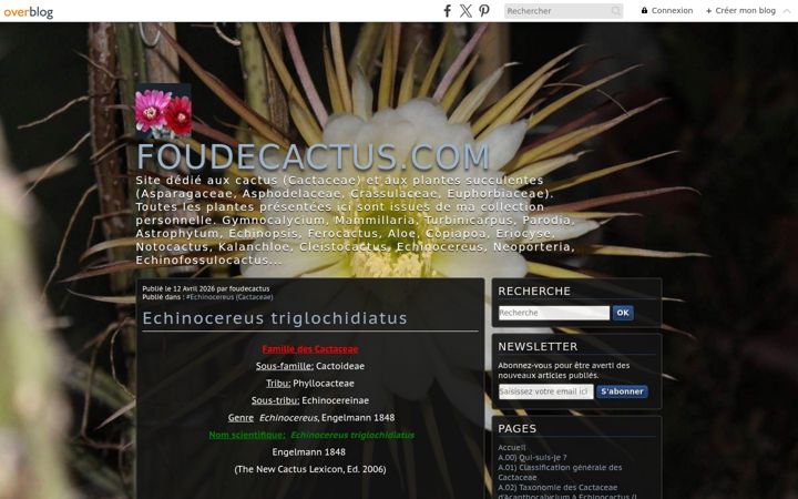 Screenshot of foudecactus.com