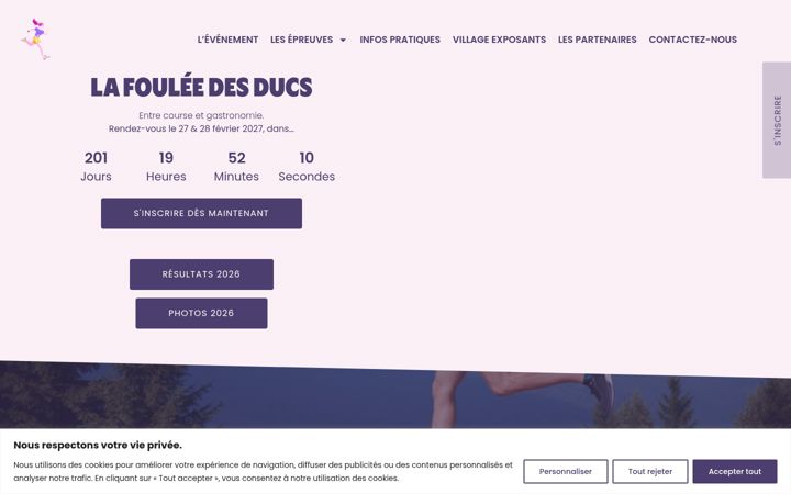 Screenshot of fouleedesducs.fr