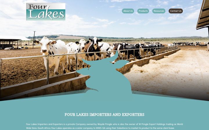 Ekrano kopija fourlakes.co.za