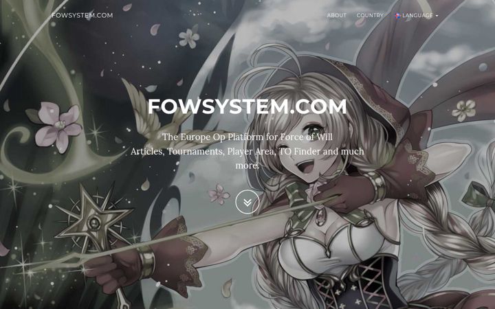 Screenshot of fowsystem.com