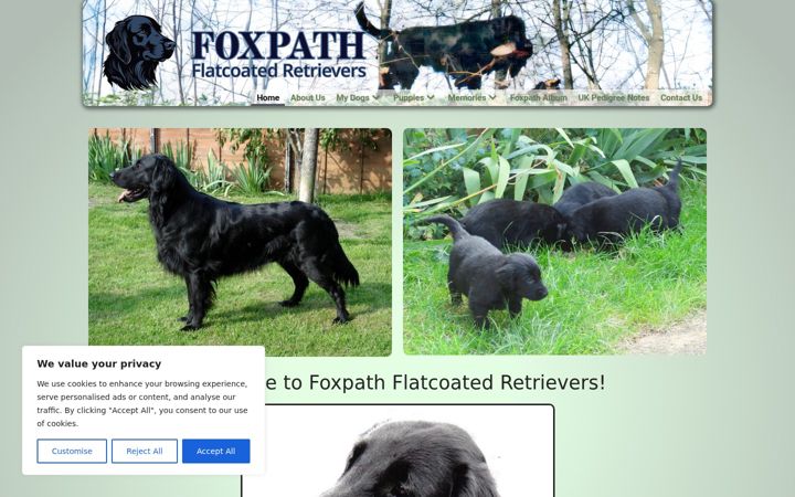 Screenshot of foxpathfcr.com