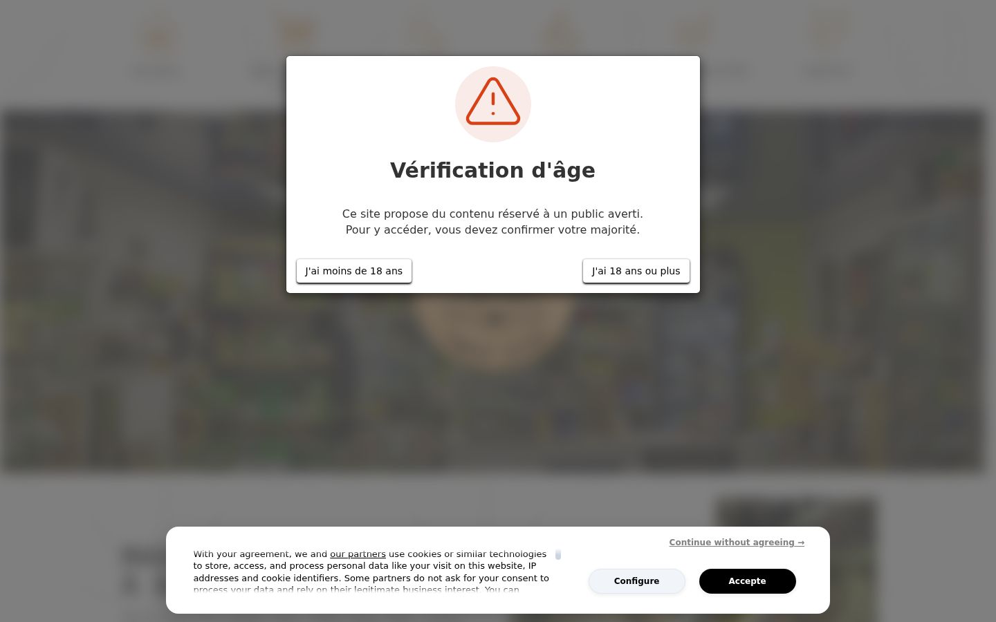 Screenshot des Einwilligungsbanners vor jeglicher Interaktion