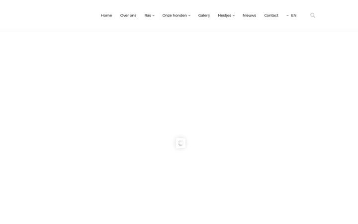 foxybee.com