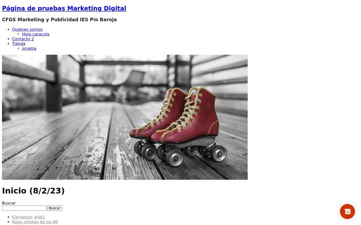 Screenshot of fpcomerciopiobaroja.com