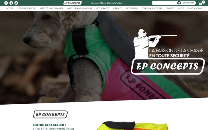 Screenshot of fpconcepts.fr