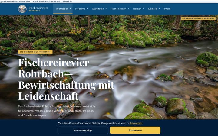 Screenshot of fr-rohrbach.at