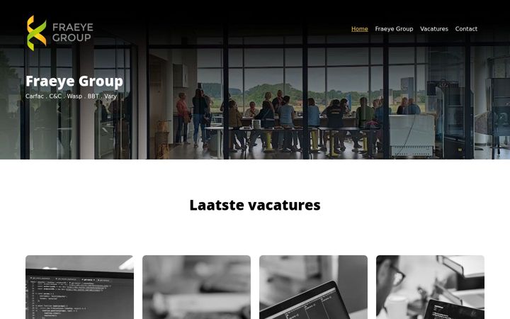 Screenshot of fraeyegroup.com