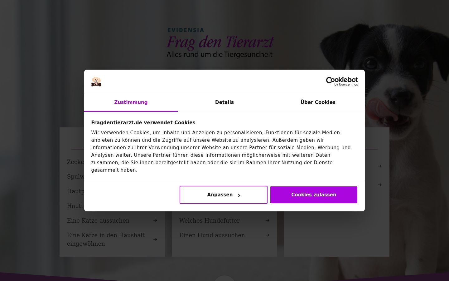 Képernyőkép a bármilyen interakció előtt megjelenő hozzájárulási bannerről