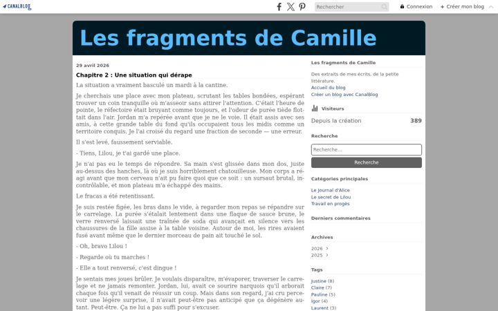 Screenshot of fragmentsdecamille.com