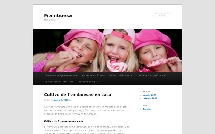 Screenshot of frambuesa.es