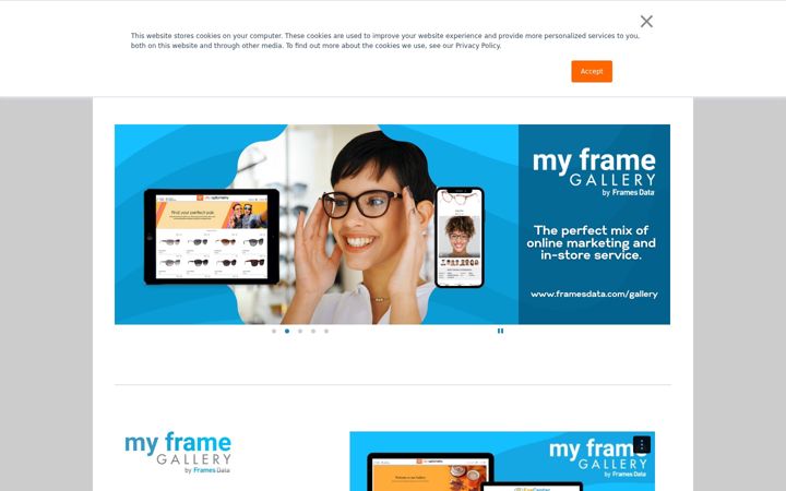 Screenshot of framesdata.com
