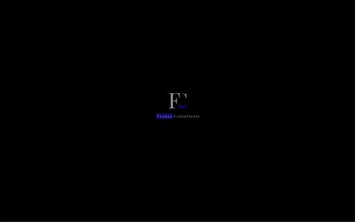 Screenshot of franceconsultants.com
