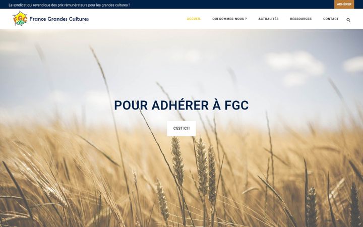 Screenshot of francegrandescultures.fr