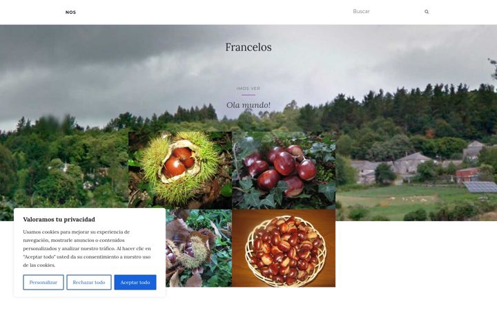 Screenshot of francelos.es