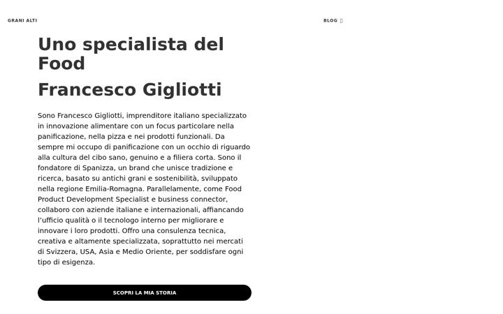 Screenshot von francescogigliotti.it