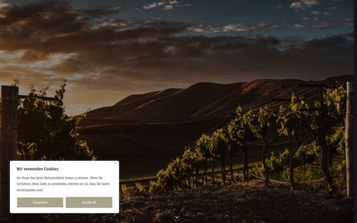 Screenshot di francescovini.de