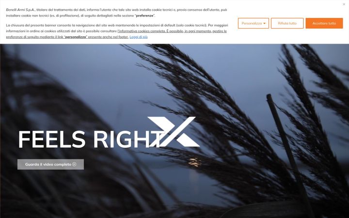 Screenshot of franchi.com