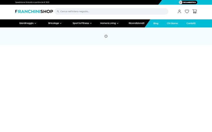 Screenshot di franchinishop.it