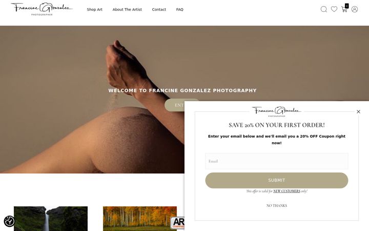 Screenshot of francinegonzalez.com